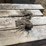 #3127-•-bundle-of-used-guard-rail-posts-image-10