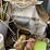 farm-supplies-**sold-onsite-only,-no-online-bids-will-be-accepted**-image-14