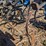 dmi-tigermate-image-11