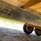 #2011-•-4-place-22'-snowmobile-trailer-(no-title)-image-36