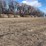 alfalfa-hay-bales-image-2