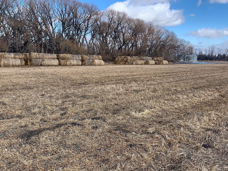 alfalfa-hay-bales-image-2