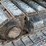caterpillar-308-cr-image-6