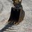 2019-caterpillar-420f2-it-image-7