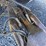 1999-kenworth-t800-image-18