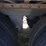 2013-great-dane-van-image-12