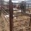 maternity-pen-with-head-gate-image-2