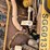 2019-caterpillar-d6n-lgp-image-18