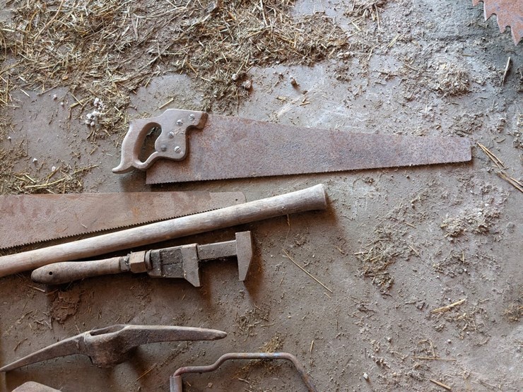 #5501-•-antique-iron-and-tools-image-2