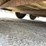 #2010-•-2004-corn-pro-16'-tandem-axle-livestock-trailer-(has-wi-title)-image-43