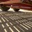 #2012-•-12'-skid-steer-trailer-(no-title)-image-33