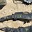 john-deere-1770nt-image-3