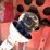 #405-•-international-sito-blower-image-10