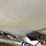 #2000-•-1986-crestliner-nordic-17'-boat-(has-wi-title)-image-26