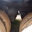 2016-carrier-x4-7300-image-10