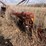hutch-grain-auger-image-1