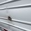 2018-great-dane-everest-ss-image-9