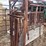 pearson-squeeze-chute-image-1
