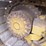 2015-caterpillar-d4k2-lgp-image-28