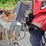 2018-manitou-mlt960-image-26