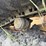 2021-caterpillar-d5-lgp-image-12