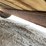 #2010-•-2004-corn-pro-16'-tandem-axle-livestock-trailer-(has-wi-title)-image-41