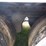 2016-carrier-x4-7300-image-15