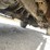 2016-ford-f250-image-92