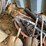 farm-supplies-**sold-onsite-only,-no-online-bids-will-be-accepted**-image-4