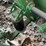 2000-john-deere-930d-image-31