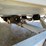 #2000-•-1986-crestliner-nordic-17'-boat-(has-wi-title)-image-90