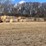 alfalfa-hay-bales-image-1