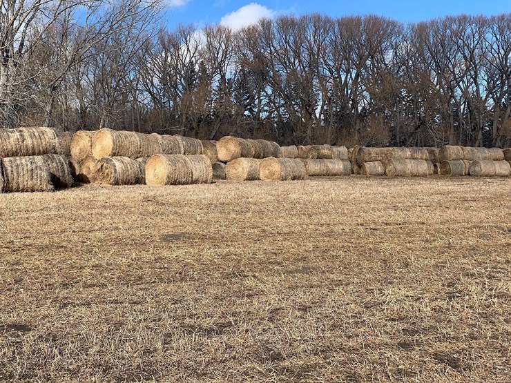 alfalfa-hay-bales-image-1