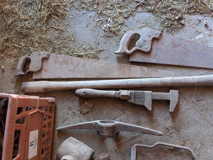#5501-•-antique-iron-and-tools-image-3