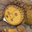 2002-caterpillar-d6m-lgp-image-23