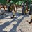 1998-john-deere-980-image-5
