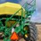 john-deere-1895-image-24