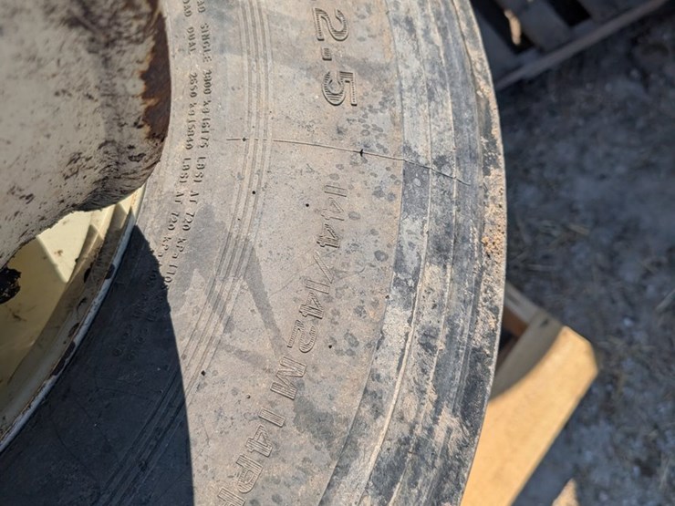 #5486-•-sunny-tire-image-3