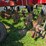 salford-i2100-image-7