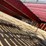 #2012-•-12'-skid-steer-trailer-(no-title)-image-31