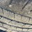 dodge-ram-2500-image-12