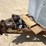 #2010-•-2004-corn-pro-16'-tandem-axle-livestock-trailer-(has-wi-title)-image-64