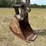 2017-deere-210g-image-7