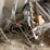 farm-supplies-**sold-onsite-only,-no-online-bids-will-be-accepted**-image-1