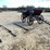 #407-•-pull-behind-wagonette-image-3