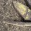 john-deere-2rw-image-10