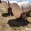 wylie-200-image-5