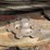 2019-massey-ferguson-wr9970-image-13