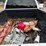 2008-ford-f150-image-15