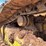 2016-caterpillar-d6t-image-12